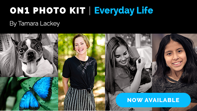 ON1 Photo Kit: Everyday Life by Tamara Lackey