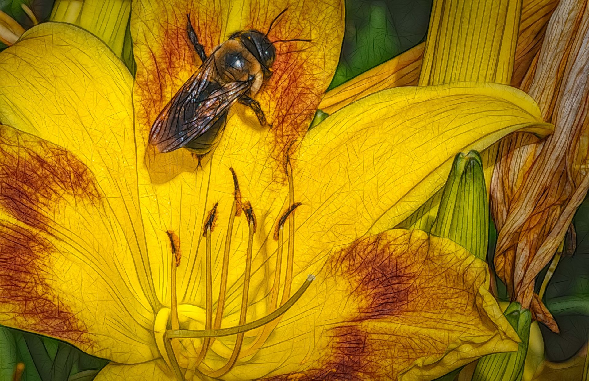Lily and Bee - ON1 Photo Critiques Gallery - ON1