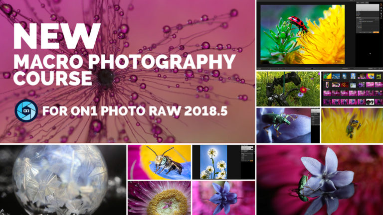 Macro Photography Course by Don Komarechka