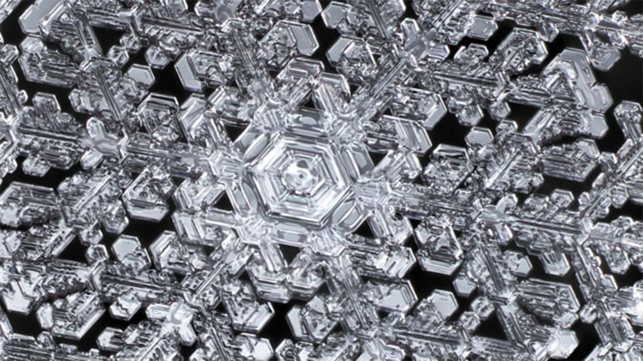 Background Replacement