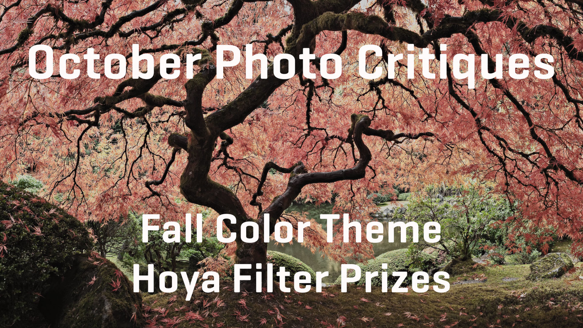 October Photo Critiques Now Open – Win Prizes!
