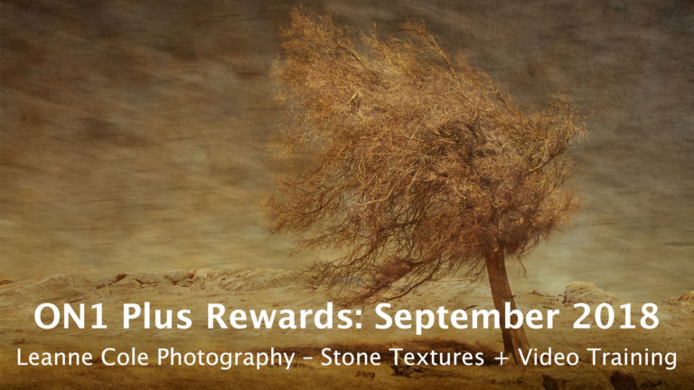 September 2018 ON1 Plus Rewards