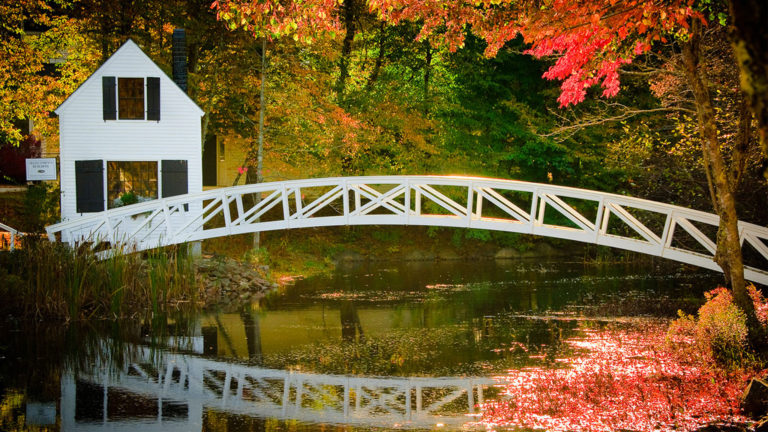 Welcome Guest Coach Matt K – Autumn Photo Edit