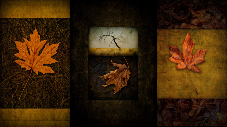 Now Available! Fine Art Photography Course