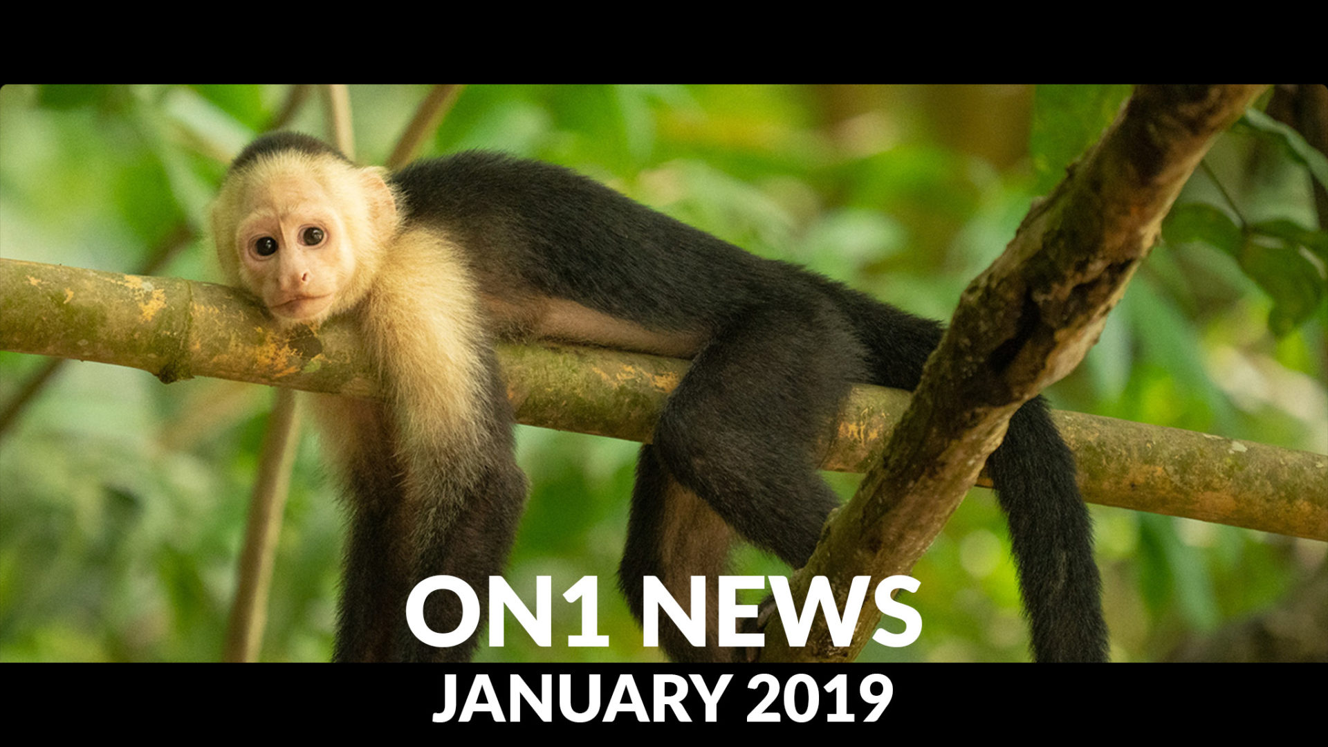 ON1 News – January 2019