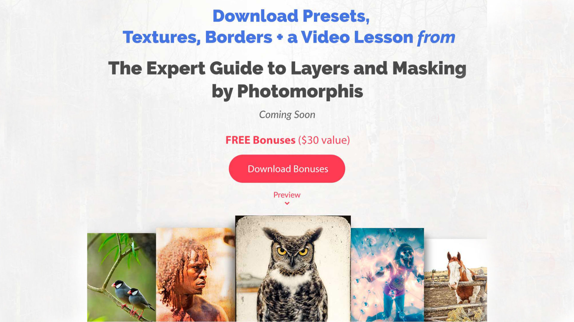 Download Textures & Borders + Video: Photomorphis Photo Kit