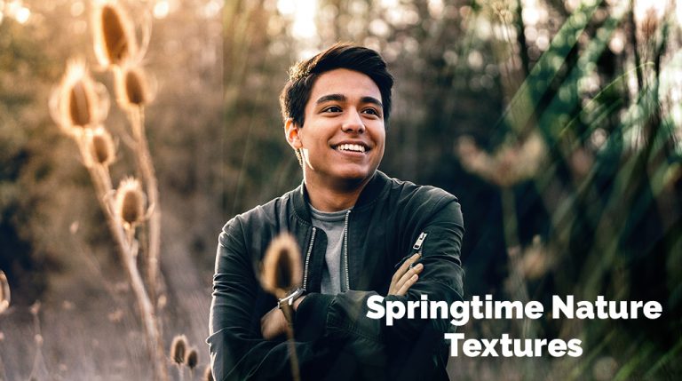 Springtime Nature Textures