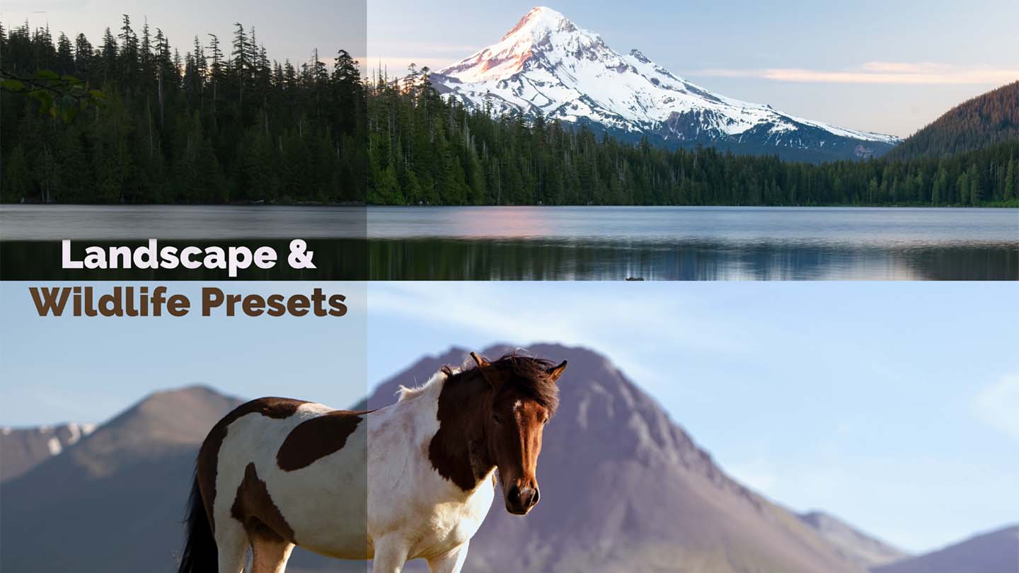 Landscape & Wildlife Presets