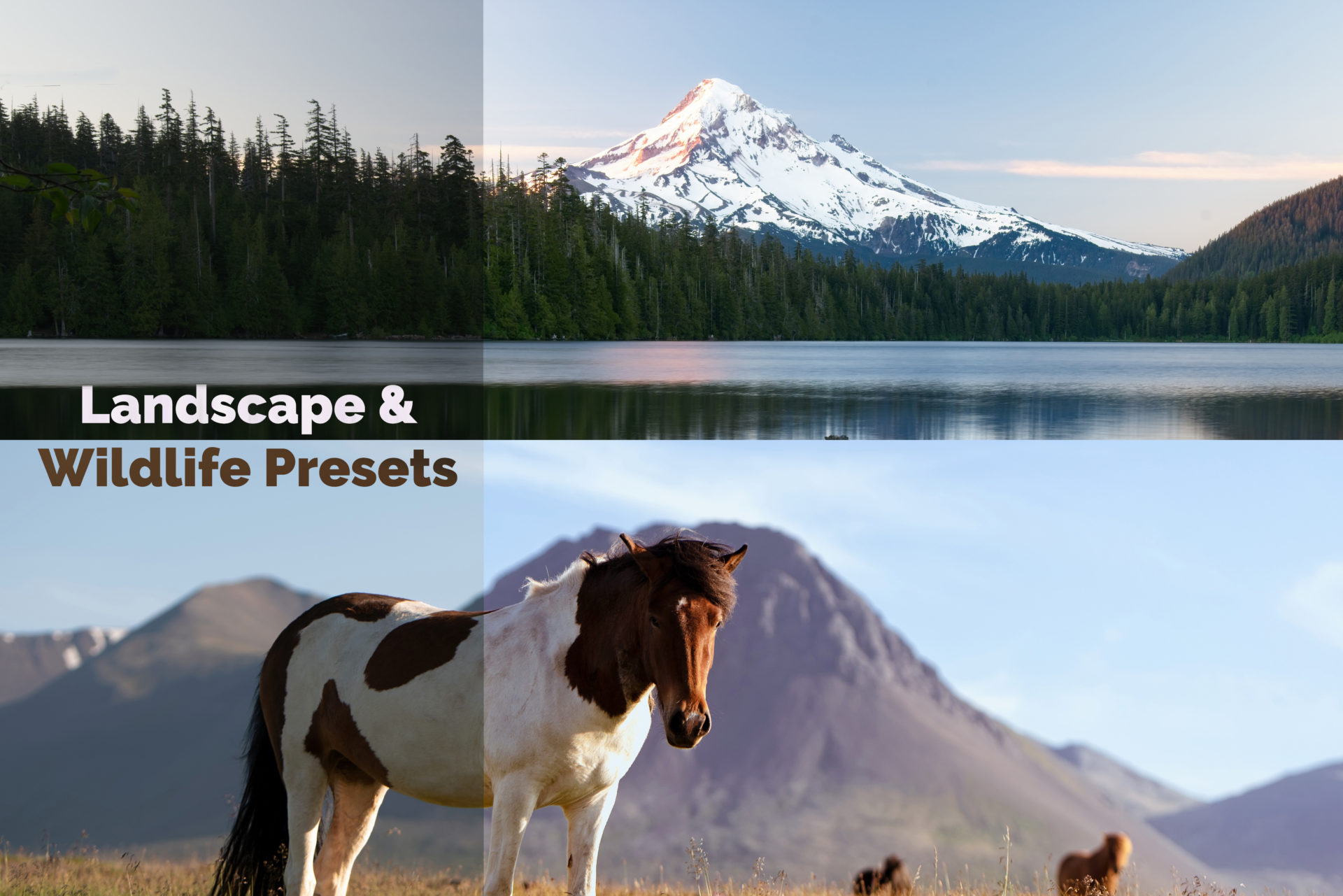 June 2019 – Landscape & Wildlife Presets