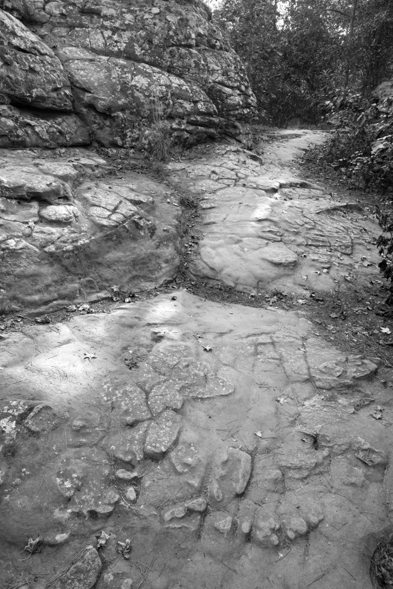 Herepath Rocks Turtle Rock Path - ON1 Plus Community Gallery - ON1