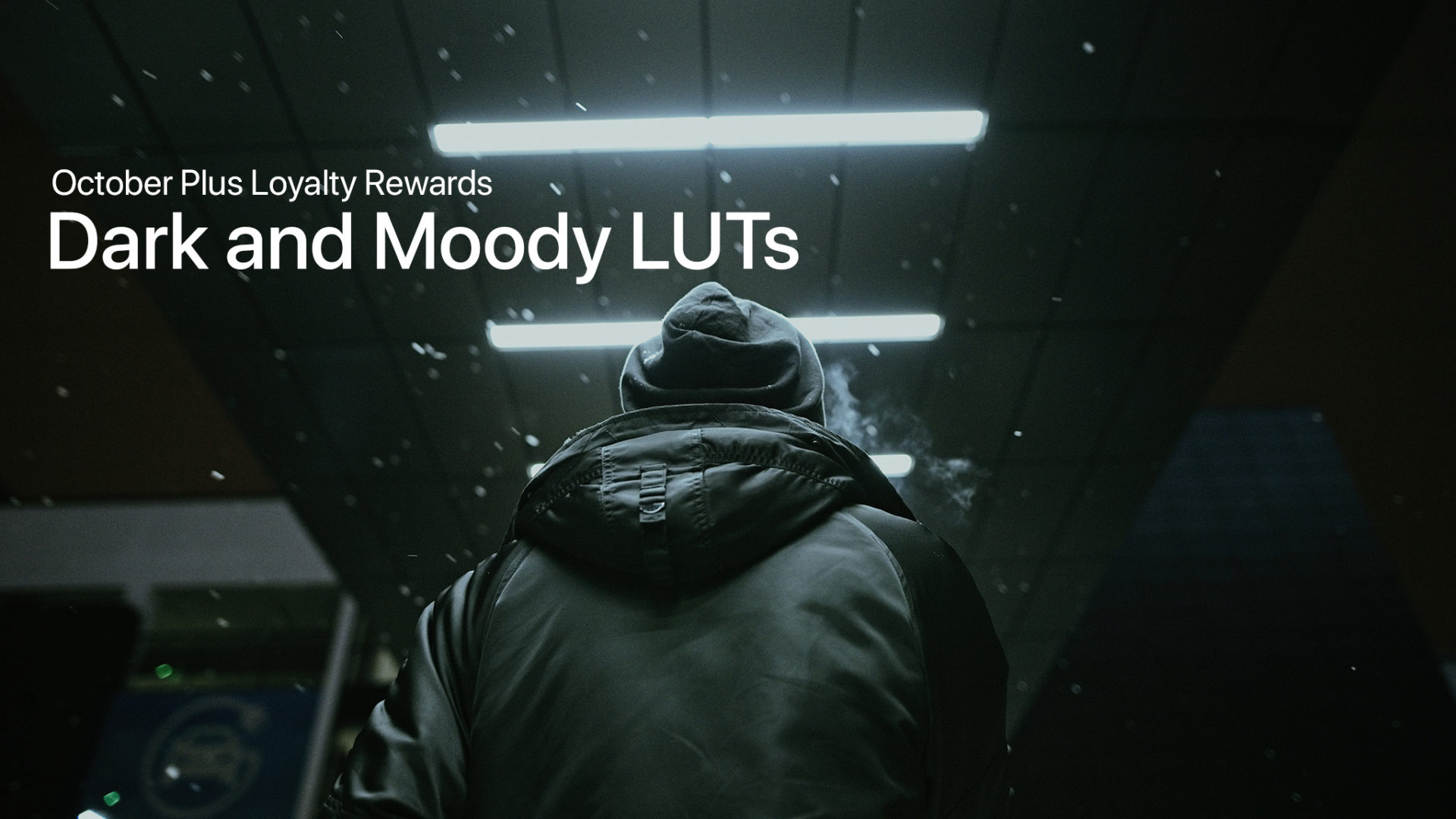 October 2019 ON1 Plus Loyalty Rewards