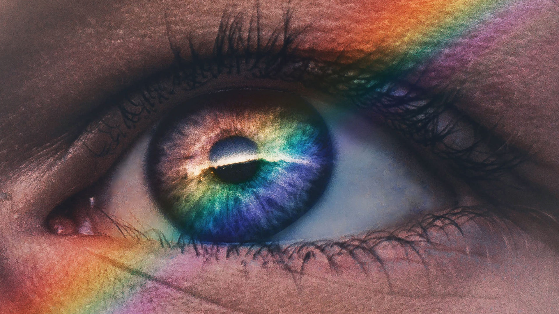 New Weekly Photo Contests! Winners Announced