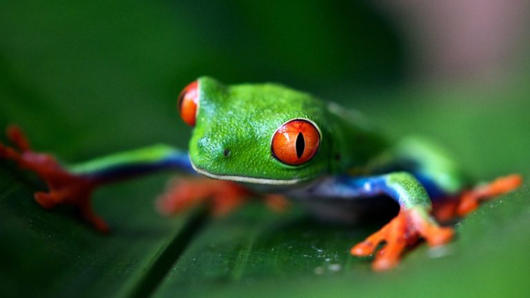ON1 Wildlife Photo Contest – Winners Announced