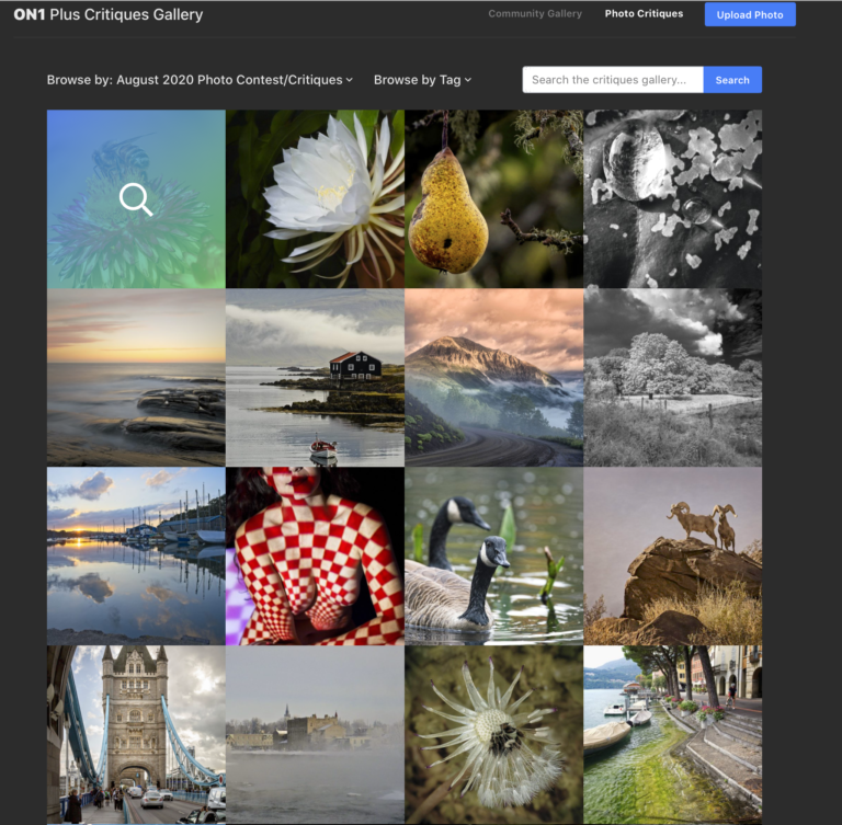 August Plus Photo Contest closes in three days!