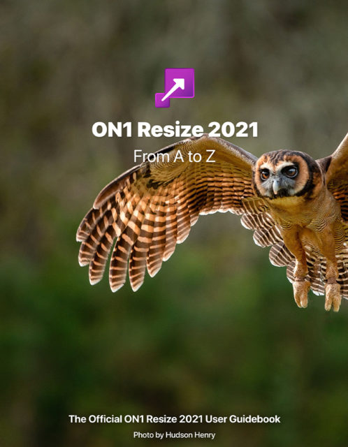 The Official Resize 2021 User Guidebook