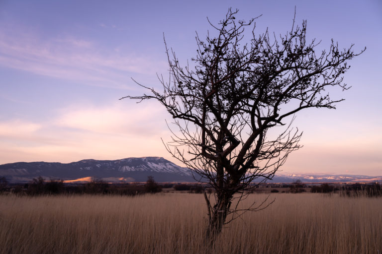 January Plus Photo Critiques are open