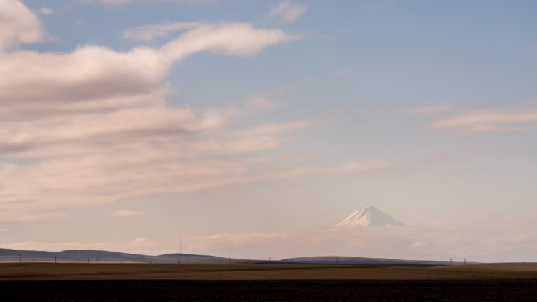 Plus Photo Critiques update