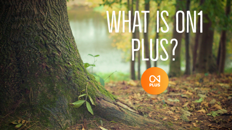 What is ON1 Plus?