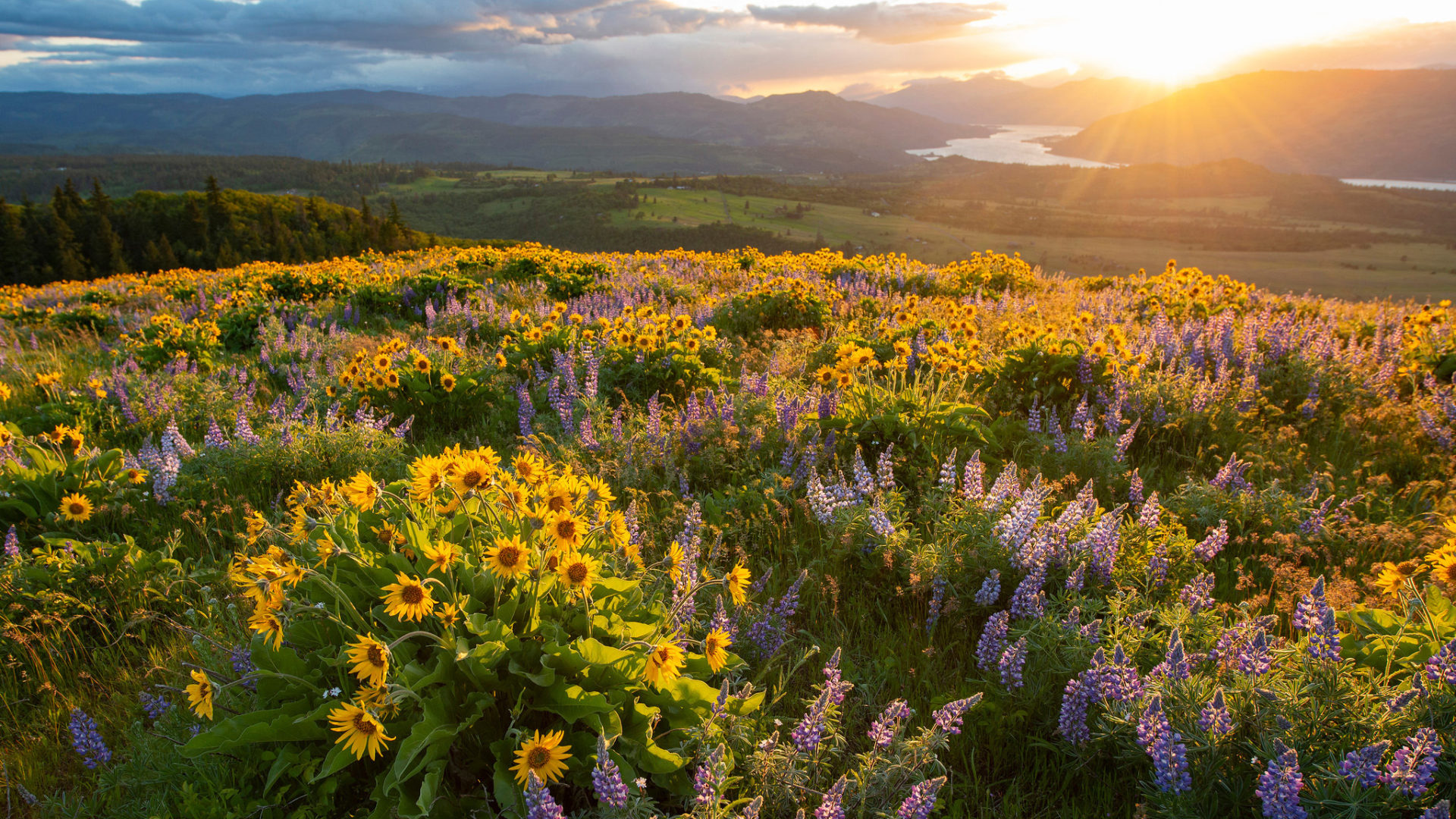 ON1 Insider – New Updates to Photo RAW are Coming!