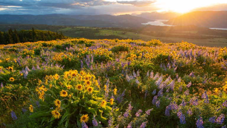 ON1 Insider – New Updates to Photo RAW are Coming!