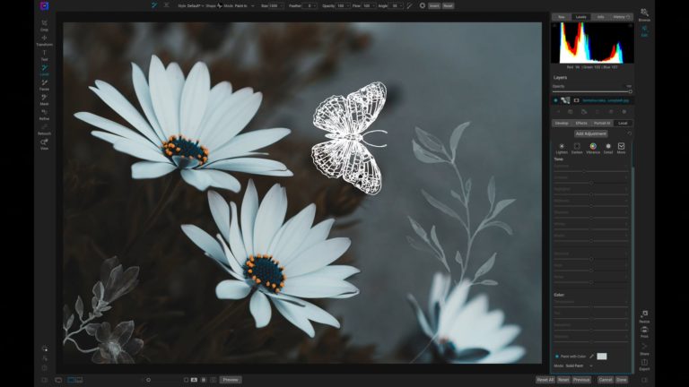 New Brush Pack – The ON1 Spring Brush Collection