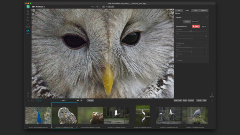 ON1 NoNoise AI – The Best Photo Noise Reduction Software