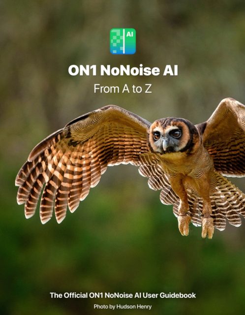 ON1 NoNoise AI 2021 User Guide