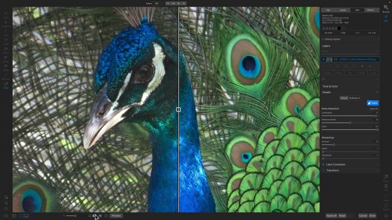 ON1 Insider – A Sneak Peek at NoNoise AI Inside Photo RAW