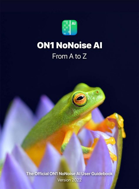 ON1 NoNoise AI 2022 User Guide