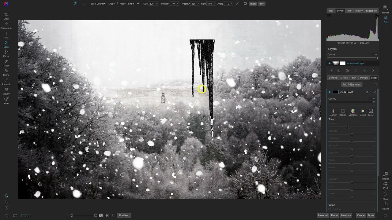 How to Use Creative Brushes to Enhance a Winter Scene