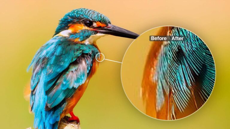 The Best Photo Enlargement Software