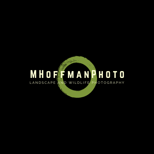 Matthew Hoffman