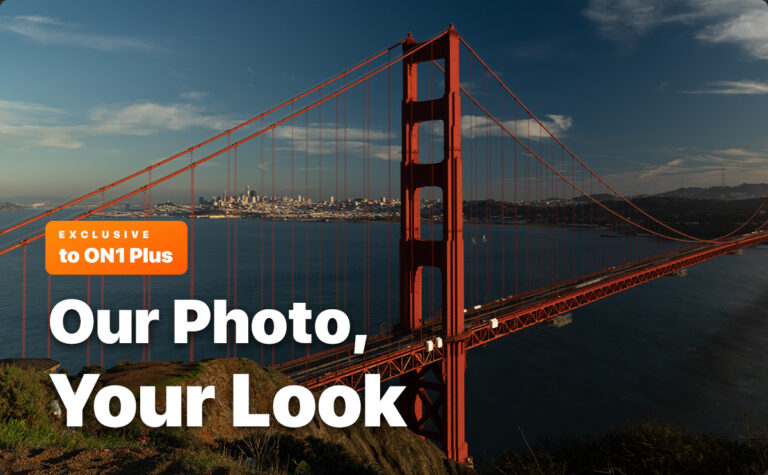 Our Photo, Your Look