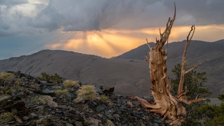 It’s Time to Point, Click, & Create – ON1 Photo RAW 2023 is Here!