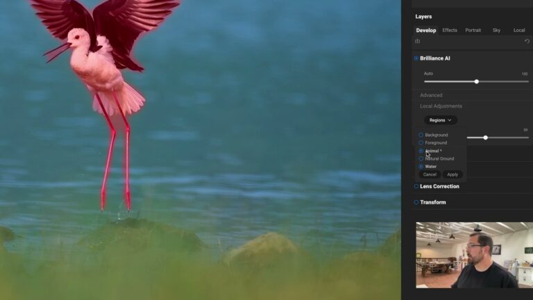 Sneak Peek – Automatically Apply Local Adjustments with Brilliance AI