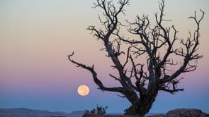 New ON1 Photo Kit – ON1 Photo RAW 2024 Master Class!