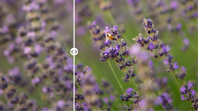 How to Reduce Noise in Lightroom
