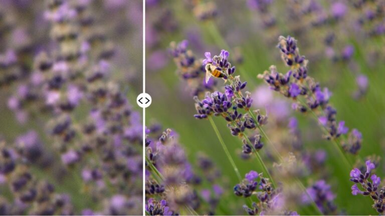 How to Reduce Noise in Lightroom