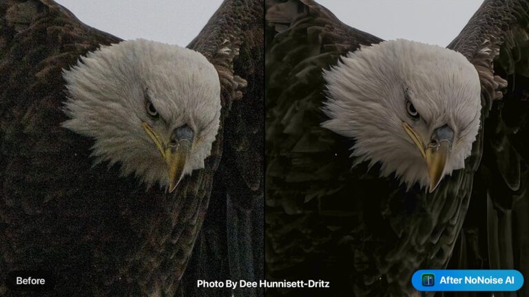 ON1 NoNoise AI 2024 – More Proof this App will Improve Your Images