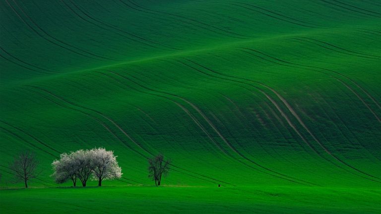 Epic Landscape Presets