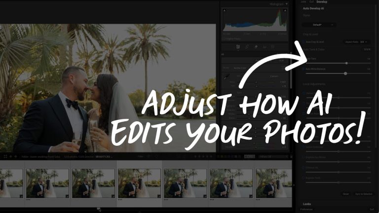 Fine-Tune Auto Tone and Color Easily with AI in Lightpanel