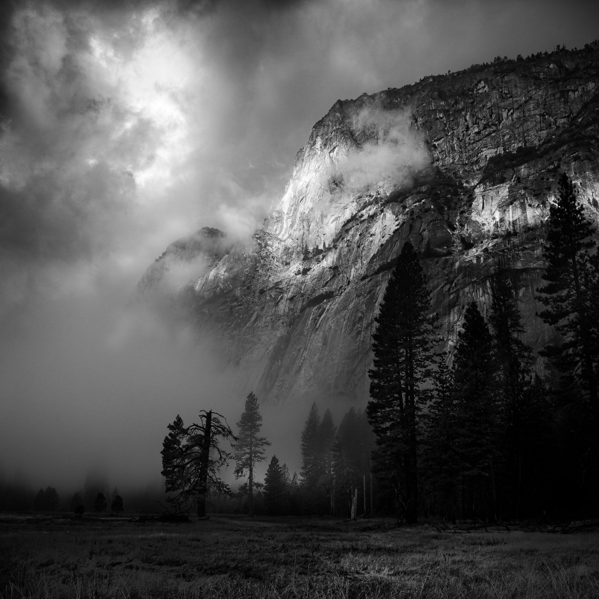 Morning Mist at Yosemite