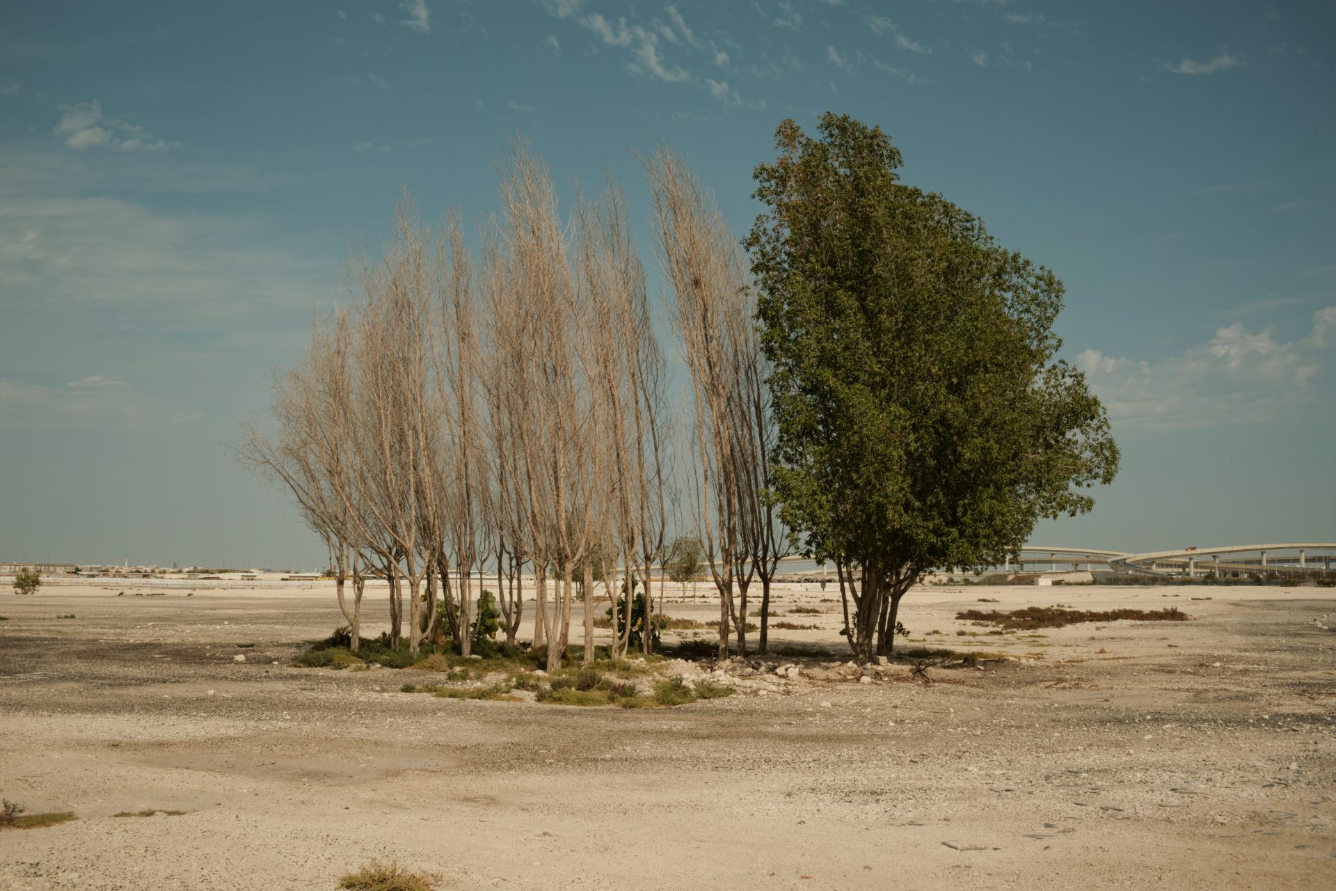Whispers of time, a silent truth stands tall