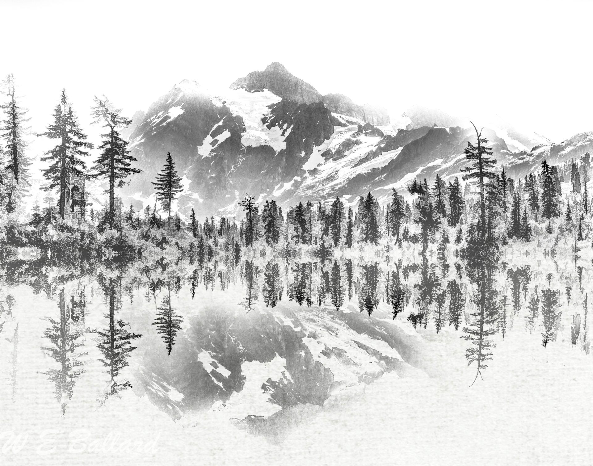 Mt. Shuksan Reflection