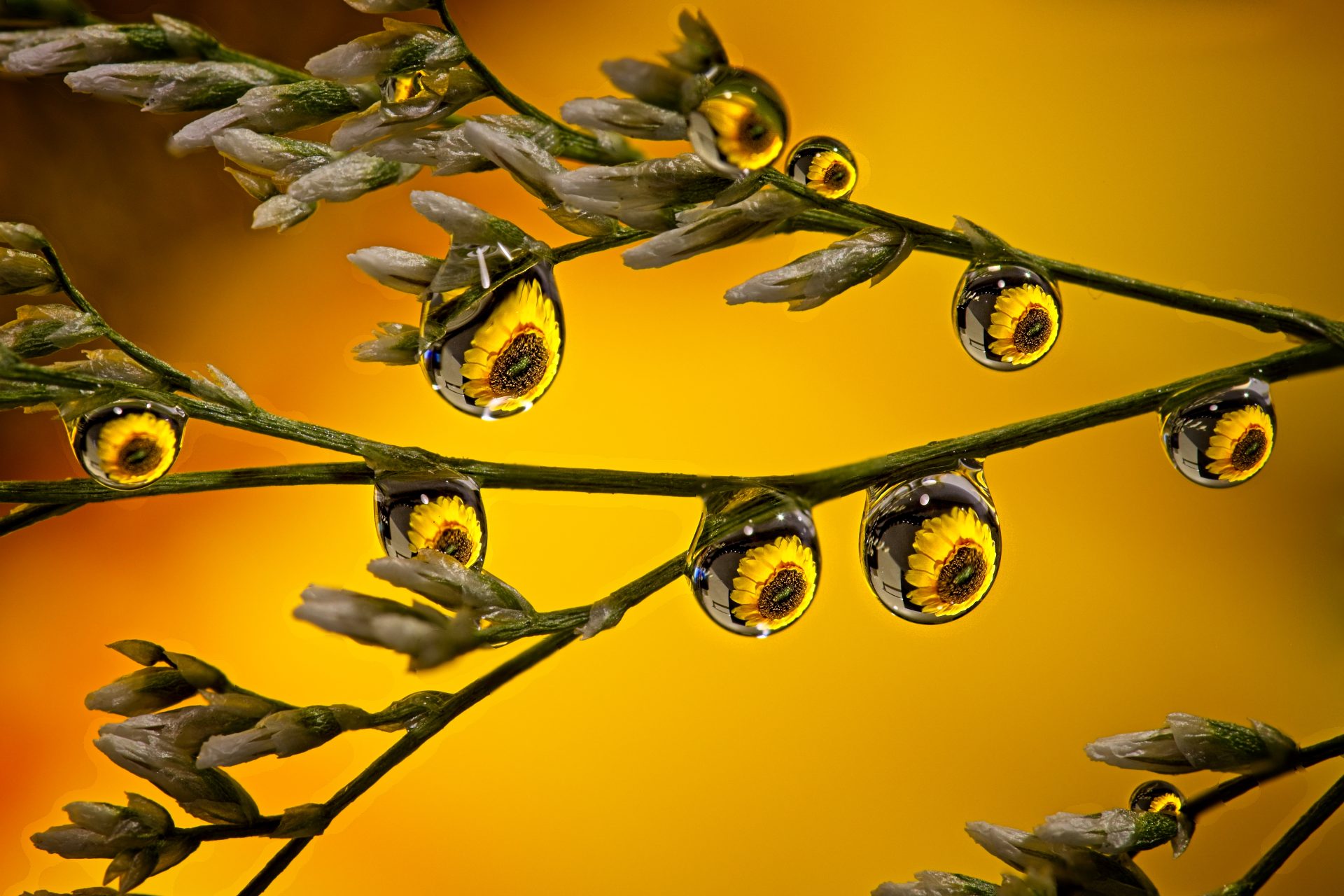 These “Eyes” Are Watching You!