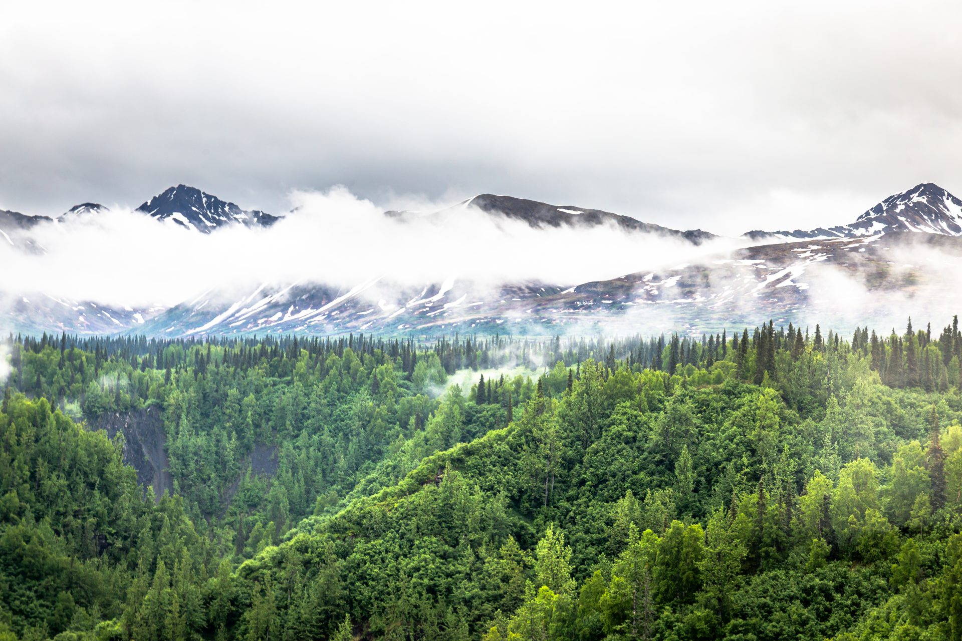 Fog On The Mountain