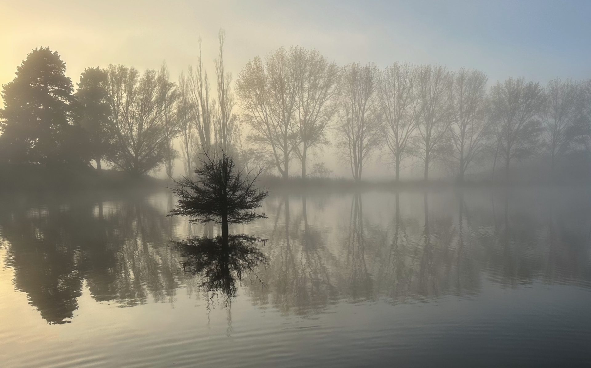 Reflections in Mist
