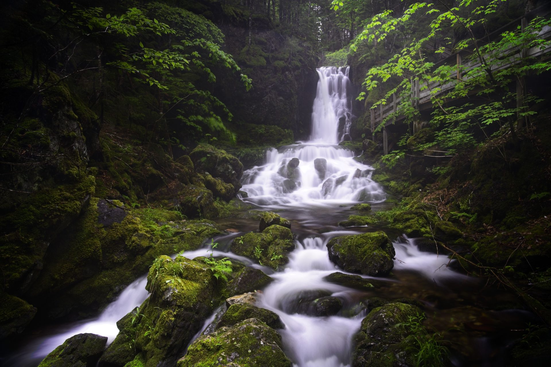 Dickson Falls
