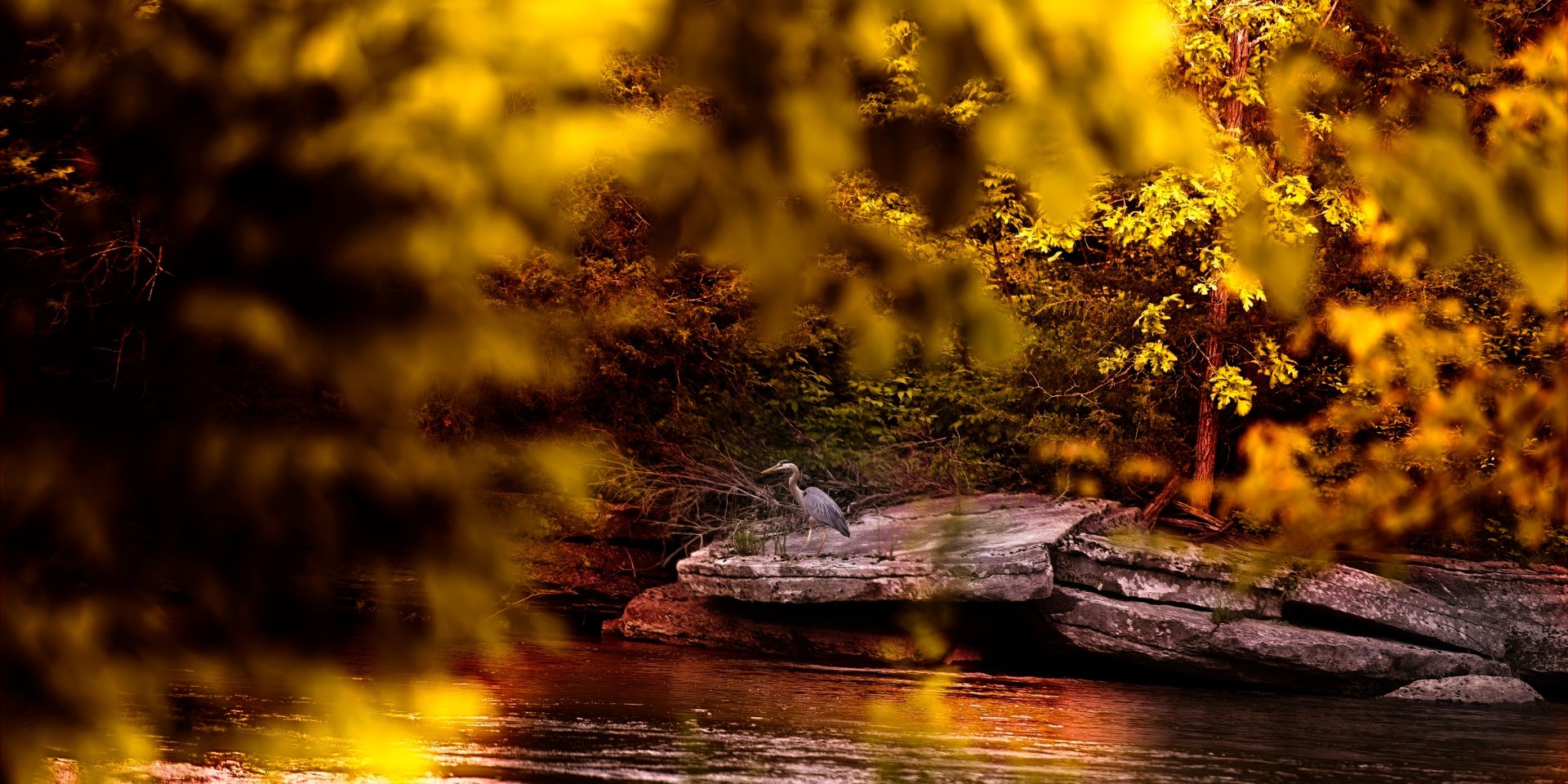 Sunset on the Crowe River