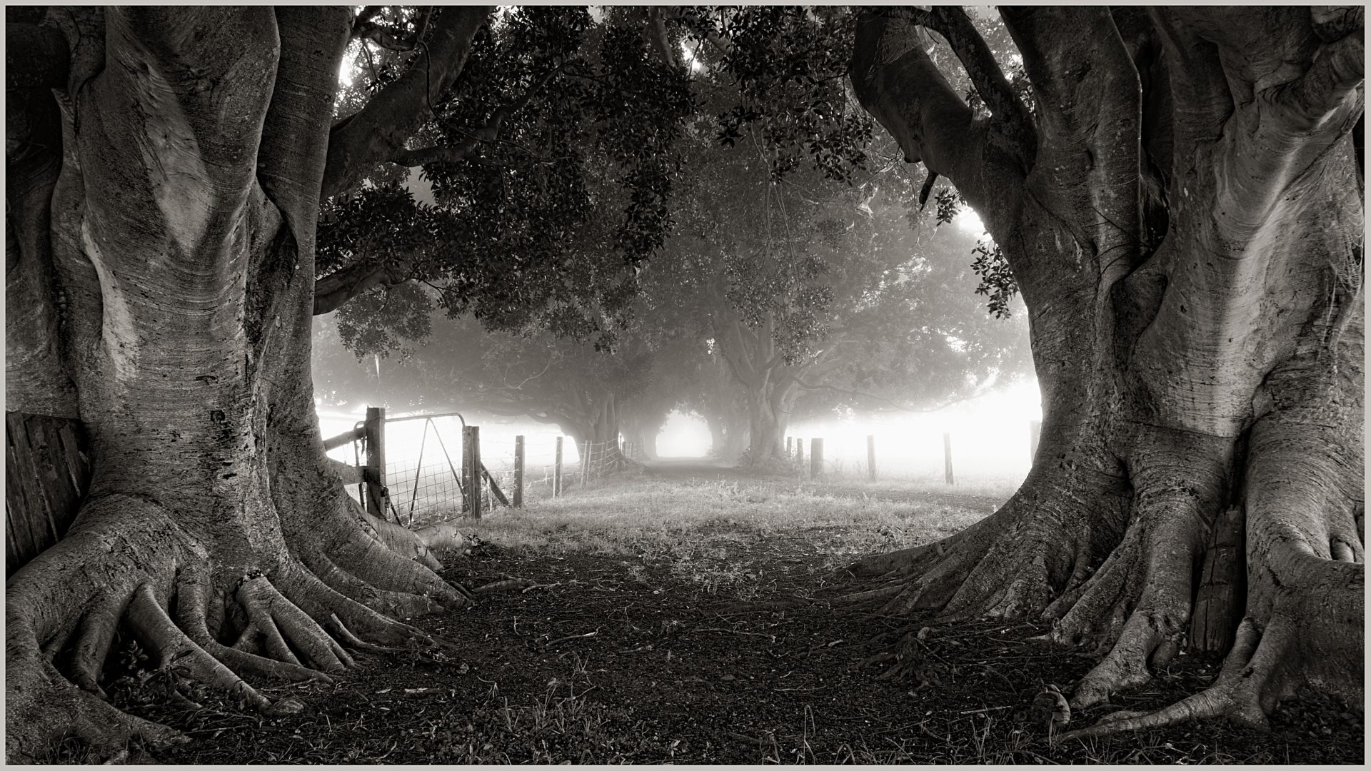 Road to Nowhere.